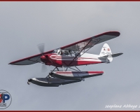 TSR Watermark - 0237